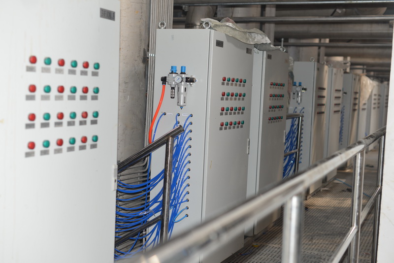 �������ƹ�